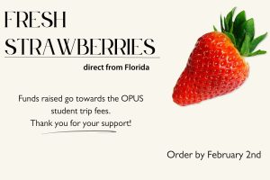 strawberry fundraiser highlights